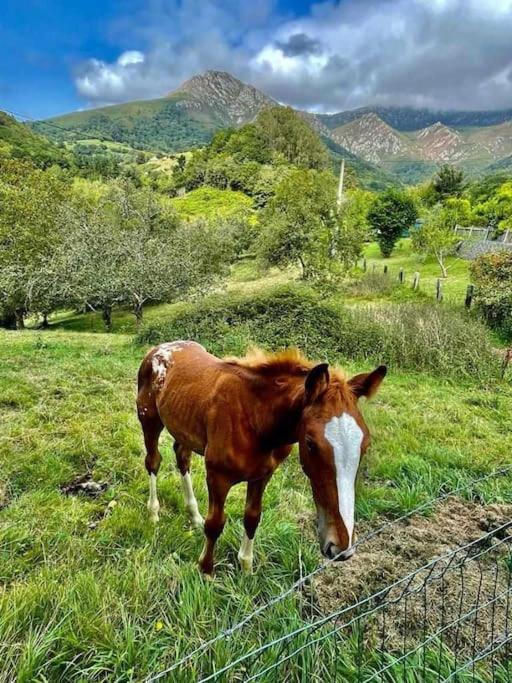 Вілла La Coqueta Del Sueve Арріондас Екстер'єр фото